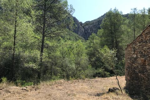 Finca i Benifallet, Tarragona, Benifallet - € 20.000 | Ref: Cn - foto 15