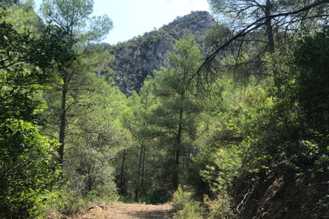 Finca i Benifallet, Tarragona, Benifallet - € 20.000 | Ref: Cn - foto 4
