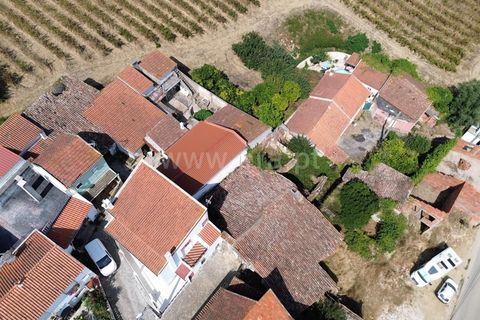 Villa i Torres Vedras, Lisbon, Torres Vedras - € 55.000 | Ref: 295250061 - foto 17