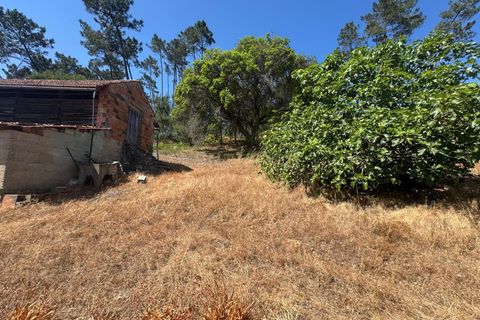 Villa i Pombal, Leiria, Pombal - € 98.000 | Ref: C0381-00785 - foto 9