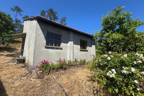 Villa i Pombal, Leiria, Pombal - € 98.000 | Ref: C0381-00785 - foto 16