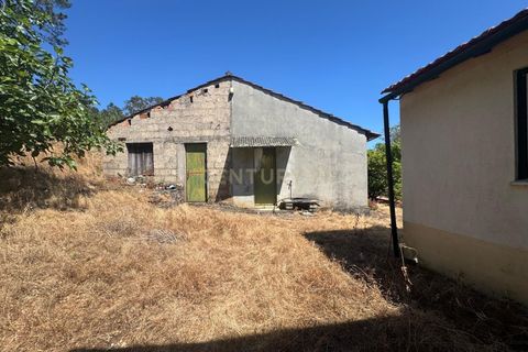 Villa i Pombal, Leiria, Pombal - € 98.000 | Ref: C0381-00785 - foto 18
