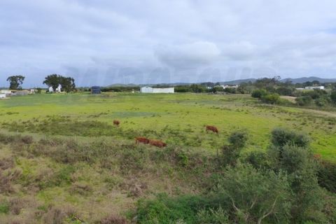 Villa a Sines, Setubal, Sines - € 990.000 | Ref: 2025035 - foto 28