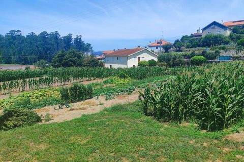 Tomt i Vila do Conde, Porto, Vila do Conde - € 100 000 | Ref: IBC-0524 - foto 17