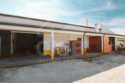 Villa a Coruche, Santarem, Coruche - € 780.000 | Ref: 542.041 - foto 9