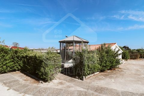 Villa a Coruche, Santarem, Coruche - € 780.000 | Ref: 542.041 - foto 30