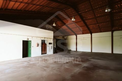 Villa a Coruche, Santarem, Coruche - € 780.000 | Ref: 542.041 - foto 32