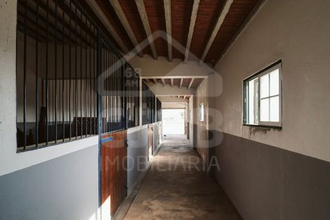 Villa a Coruche, Santarem, Coruche - € 780.000 | Ref: 542.041 - foto 37