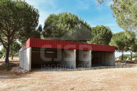 Villa a Coruche, Santarem, Coruche - € 780.000 | Ref: 542.041 - foto 39