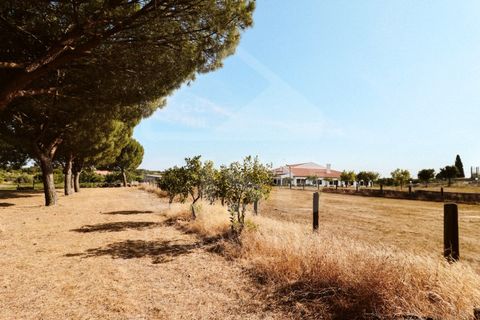 Villa a Coruche, Santarem, Coruche - € 780.000 | Ref: 542.041 - foto 46