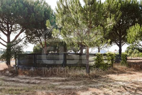Villa a Coruche, Santarem, Coruche - € 780.000 | Ref: 542.041 - foto 47