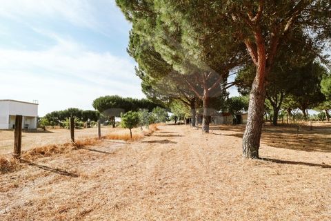 Villa a Coruche, Santarem, Coruche - € 780.000 | Ref: 542.041 - foto 49