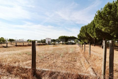 Villa a Coruche, Santarem, Coruche - € 780.000 | Ref: 542.041 - foto 50