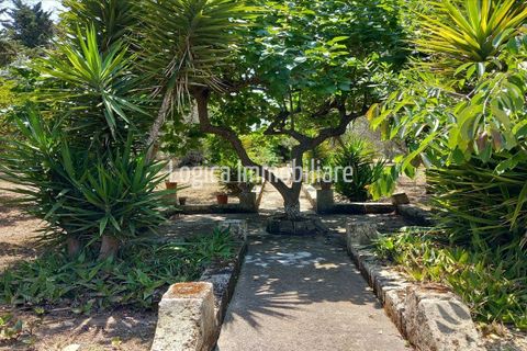 Villa a Oria, Brindisi, Oria - € 286.000 | Ref: VL382 - foto 3