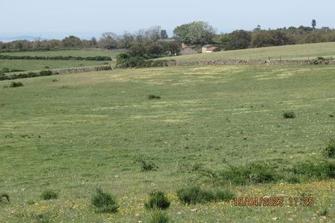 Farm hus i Marvao, Portalegre, Marvao - € 435.000 | Ref: L2025479 - foto 11
