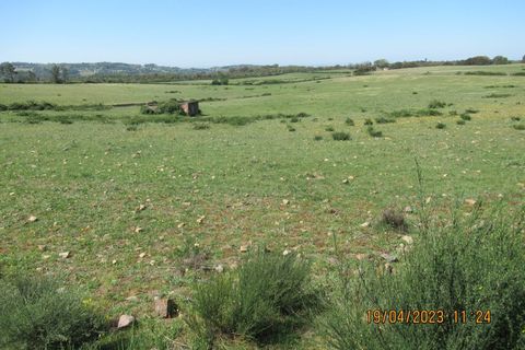 Farm hus i Marvao, Portalegre, Marvao - € 435.000 | Ref: L2025479 - foto 14