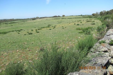 Farm hus i Marvao, Portalegre, Marvao - € 435.000 | Ref: L2025479 - foto 15