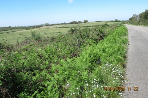 Farm hus i Marvao, Portalegre, Marvao - € 435.000 | Ref: L2025479 - foto 17