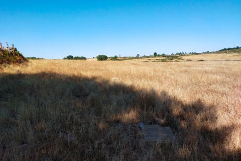 Farm hus i Marvao, Portalegre, Marvao - € 435.000 | Ref: L2025479 - foto 18