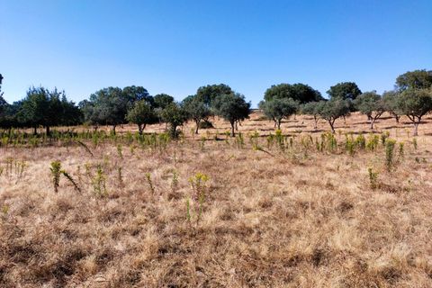 Farm hus i Marvao, Portalegre, Marvao - € 435.000 | Ref: L2025479 - foto 19