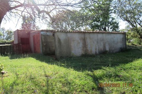 Farm hus i Marvao, Portalegre, Marvao - € 435.000 | Ref: L2025479 - foto 22