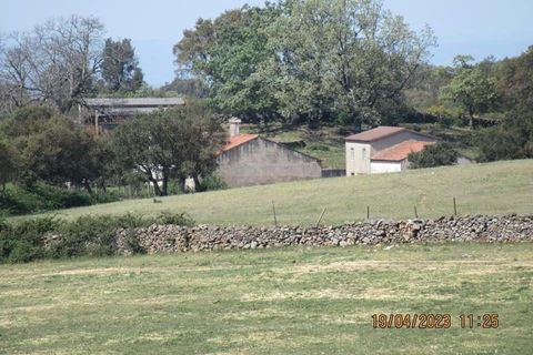 Farm hus i Marvao, Portalegre, Marvao - € 435.000 | Ref: L2025479 - foto 23