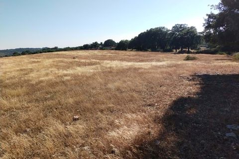 Farm hus i Marvao, Portalegre, Marvao - € 435.000 | Ref: L2025479 - foto 26