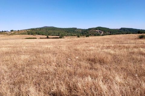 Farm hus i Marvao, Portalegre, Marvao - € 435.000 | Ref: L2025479 - foto 28