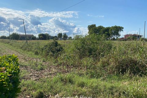 Grond in Codevigo, Padua, Codevigo - € 59.000 | Ref: COD38 - foto 4