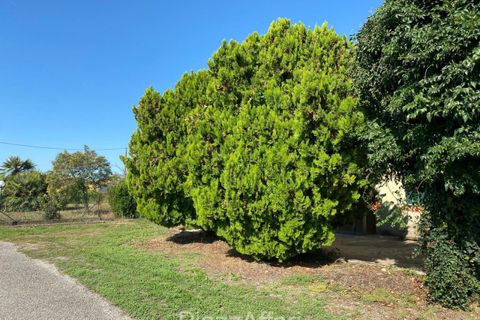 Grond in Codevigo, Padua, Codevigo - € 59.000 | Ref: COD38 - foto 5