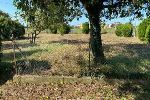 Grond in Codevigo, Padua, Codevigo - € 59.000 | Ref: COD38 - foto 6