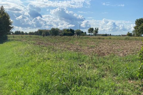 Grond in Codevigo, Padua, Codevigo - € 59.000 | Ref: COD38 - foto 7