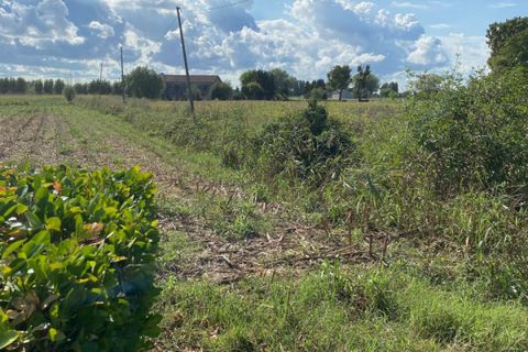 Grond in Codevigo, Padua, Codevigo - € 59.000 | Ref: COD38 - foto 8