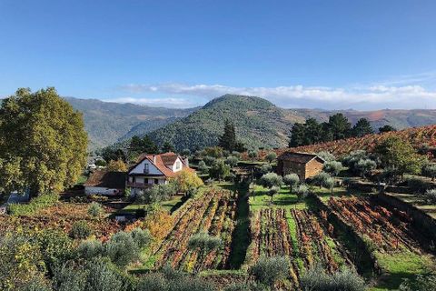 Helårsgrund i Alijo, Vila Real, Alijo - € 55.000 | Ref: 120171468-21 - foto 1