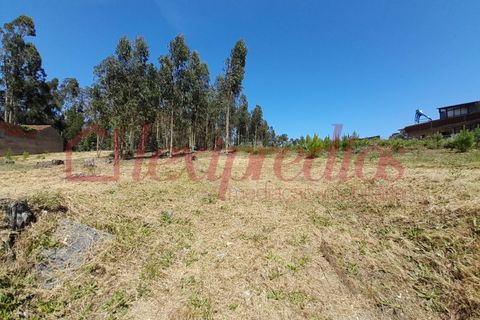 Helårsgrund i Agueda, Aveiro, Agueda - € 35.000 | Ref: AG 3754 - foto 2