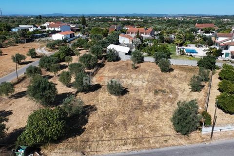Helårsgrund i Tomar, Santarem, Tomar - € 40.000 | Ref: 01608-25 - foto 1