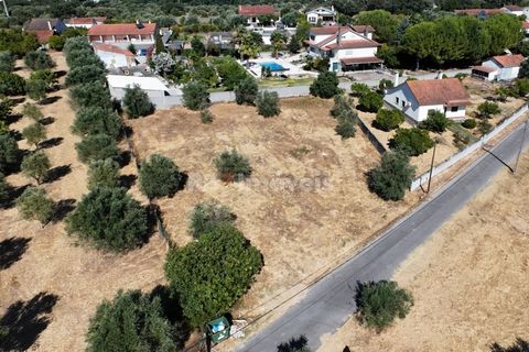 Helårsgrund i Tomar, Santarem, Tomar - € 40.000 | Ref: 01608-25 - foto 2