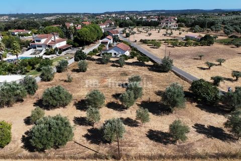 Helårsgrund i Tomar, Santarem, Tomar - € 40.000 | Ref: 01608-25 - foto 3