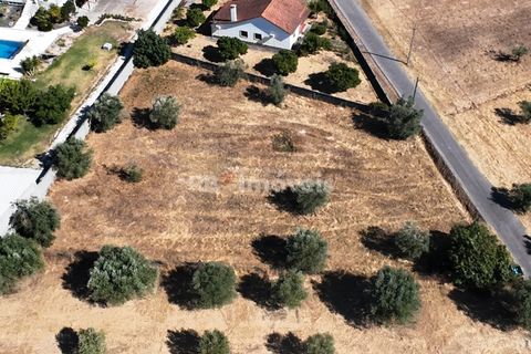 Helårsgrund i Tomar, Santarem, Tomar - € 40.000 | Ref: 01608-25 - foto 4