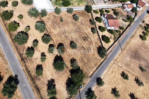 Helårsgrund i Tomar, Santarem, Tomar - € 40.000 | Ref: 01608-25 - foto 5
