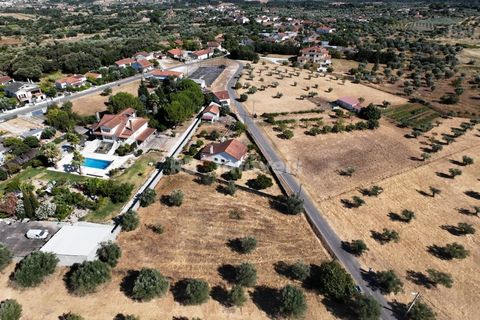 Helårsgrund i Tomar, Santarem, Tomar - € 40.000 | Ref: 01608-25 - foto 6