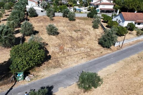 Helårsgrund i Tomar, Santarem, Tomar - € 40.000 | Ref: 01608-25 - foto 7
