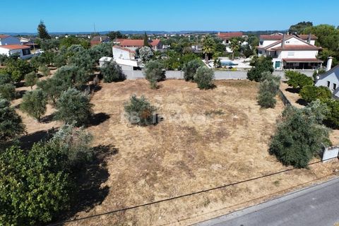 Helårsgrund i Tomar, Santarem, Tomar - € 40.000 | Ref: 01608-25 - foto 8