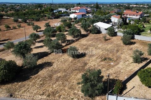 Helårsgrund i Tomar, Santarem, Tomar - € 40.000 | Ref: 01608-25 - foto 9