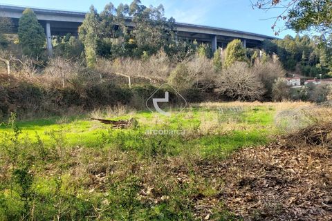 Helårsgrund i Ponte de Lima, Viana do Castelo, Ponte de Lima - € 70.000 | Ref: AV6444 - foto 3