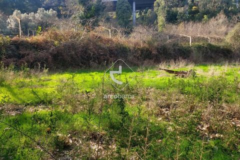Helårsgrund i Ponte de Lima, Viana do Castelo, Ponte de Lima - € 70.000 | Ref: AV6444 - foto 4