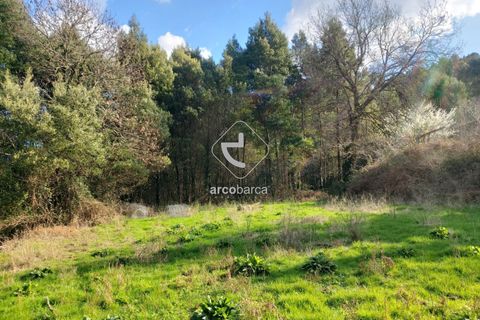 Helårsgrund i Ponte de Lima, Viana do Castelo, Ponte de Lima - € 70.000 | Ref: AV6444 - foto 8