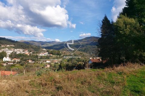 Helårsgrund i Ponte de Lima, Viana do Castelo, Ponte de Lima - € 70.000 | Ref: AV6444 - foto 9