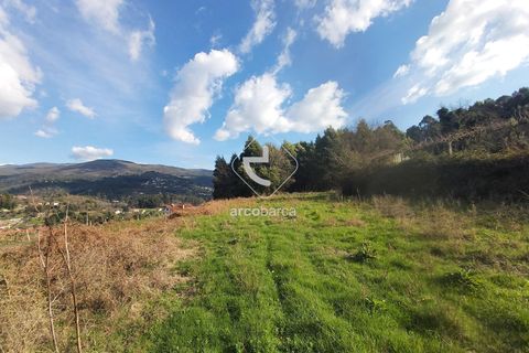 Helårsgrund i Ponte de Lima, Viana do Castelo, Ponte de Lima - € 70.000 | Ref: AV6444 - foto 12