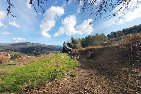 Helårsgrund i Ponte de Lima, Viana do Castelo, Ponte de Lima - € 70.000 | Ref: AV6444 - foto 13